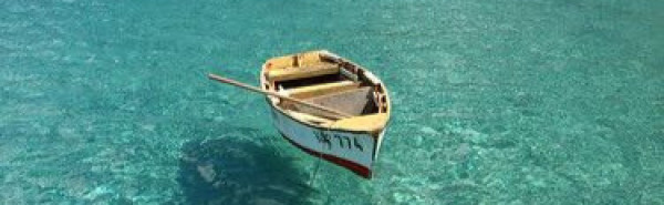 1000248281_49b1082e38736ab39079ec360d3aa7b4-7-4-2025, 16_51_41 - Bewerkt